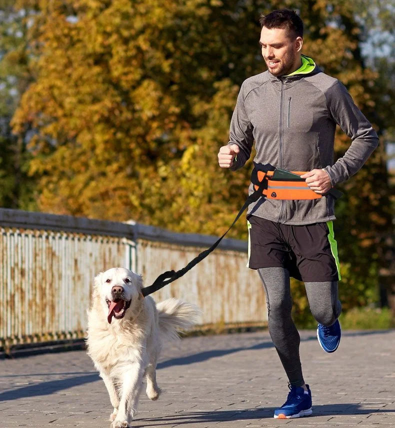 Hands Free Dog Leash