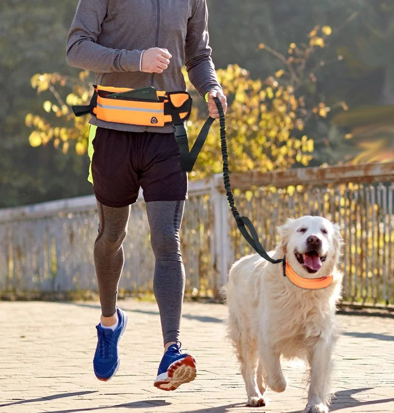 Hands Free Dog Leash