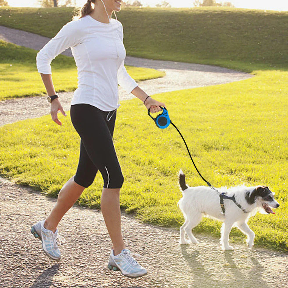 Hands Free Dog Leash