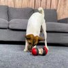 TreatTumbler IQ Ball