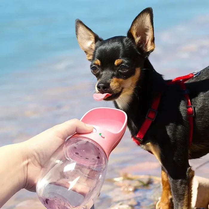 Pet drinking cup