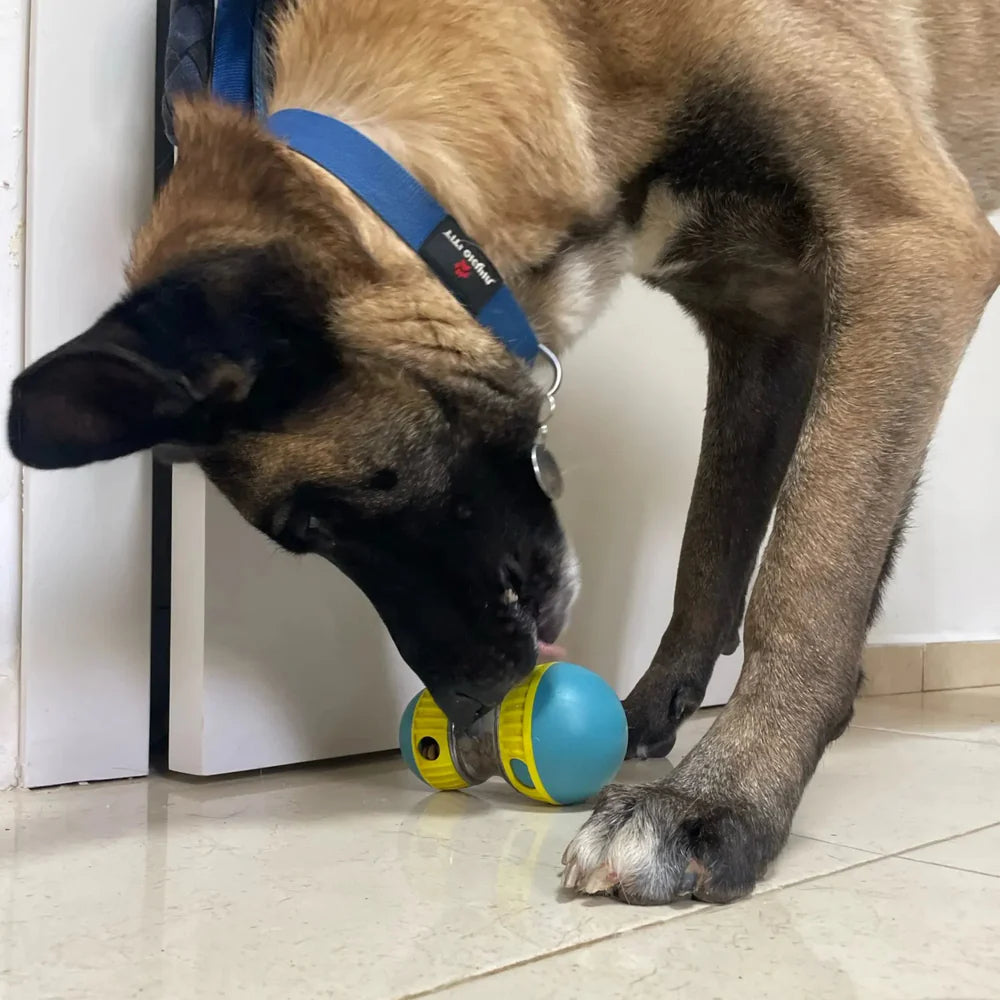 TreatTumbler IQ Ball