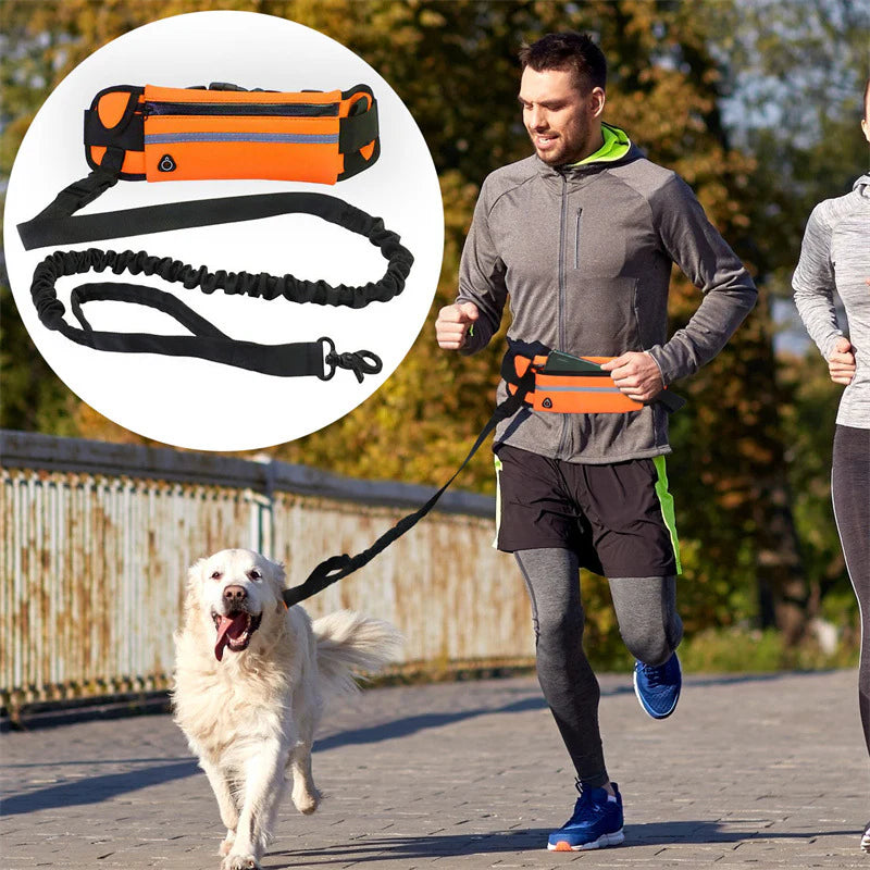 Hands Free Dog Leash