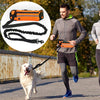 Hands Free Dog Leash