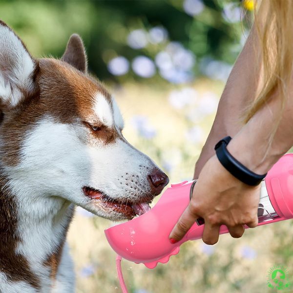 Pet drinking cup
