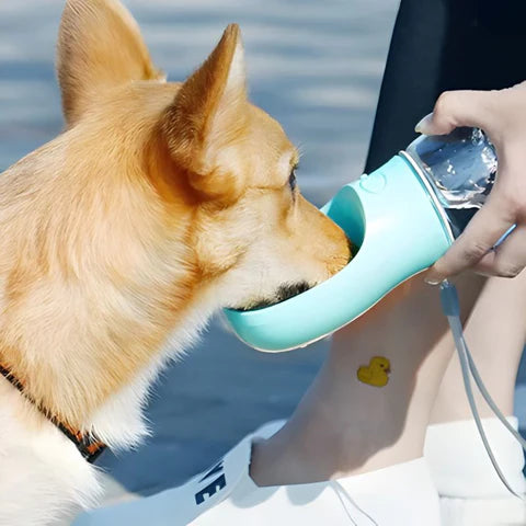 Pet drinking cup